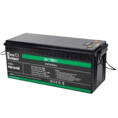Full Energy FEG-24100 LiFePO4 в інтернет-магазині Olden electronics