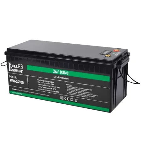 Full Energy FEG-24100 LiFePO4 в інтернет-магазині Olden electronics