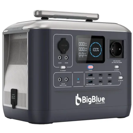BigBlue CP1000 1000Вт в інтернет-магазині Olden electronics