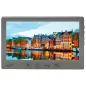 Відеодомофон Light Vision AMSTERDAM FHD GRAY