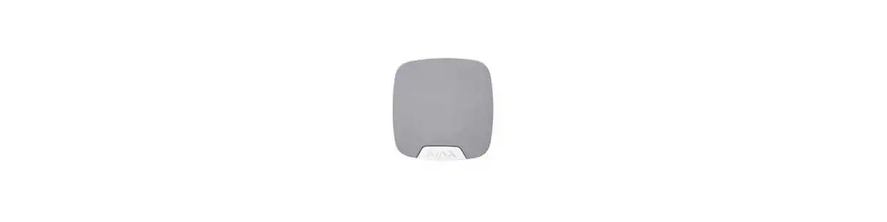 Голосовий модуль Ajax SpeakerPhone — купити в Києві | Olden electronics